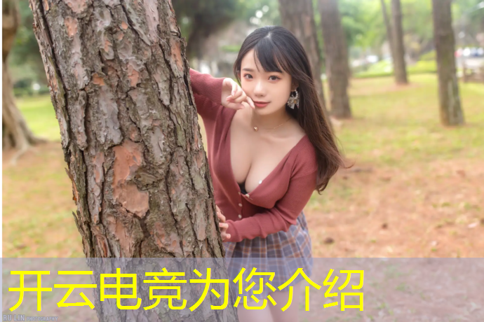 kaiyun·开云电竞为您介绍：旗舰电竞和专业电竞的区别笔记本